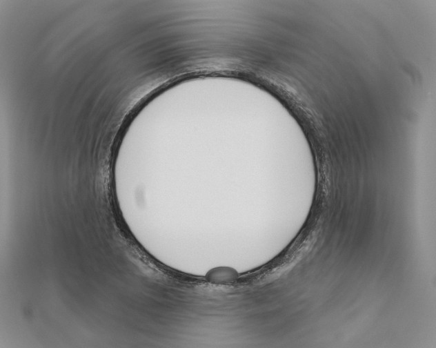 X0000111001073200907311026