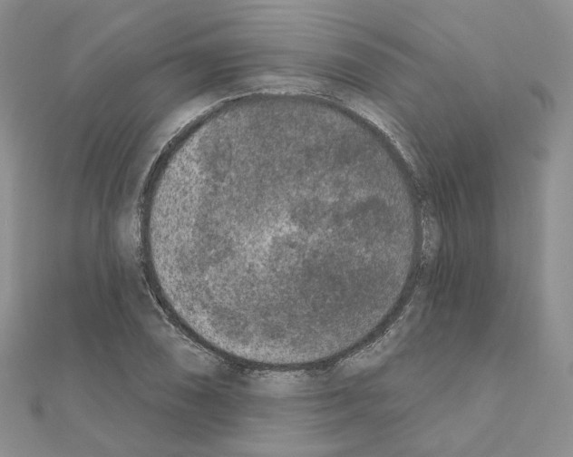 X0000111001074200907311026