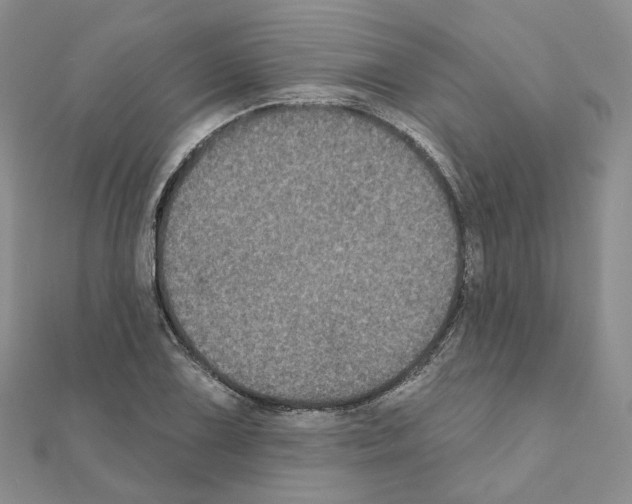 X0000111001075200907311026