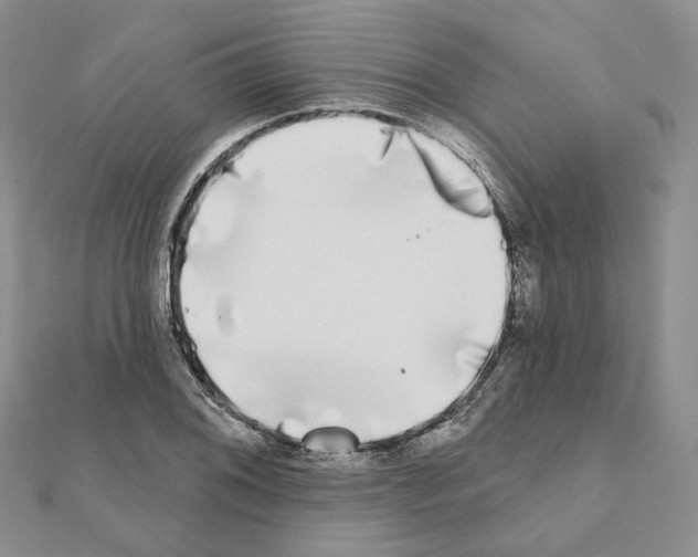 X0000111001076200907311026