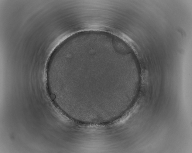 X0000111001077200907311026