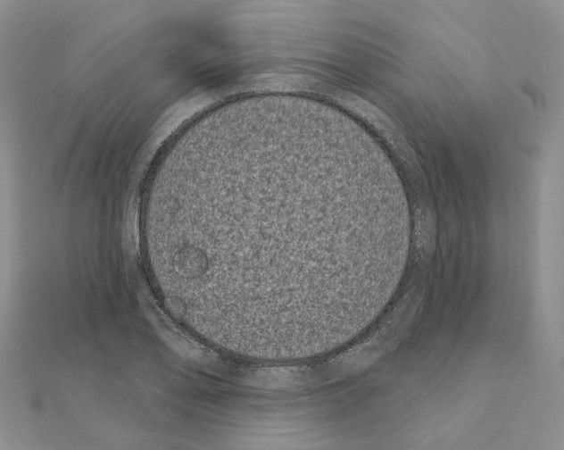 X0000111001078200907311026