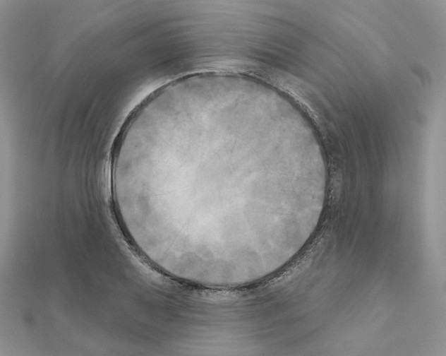 X0000111001079200907311026