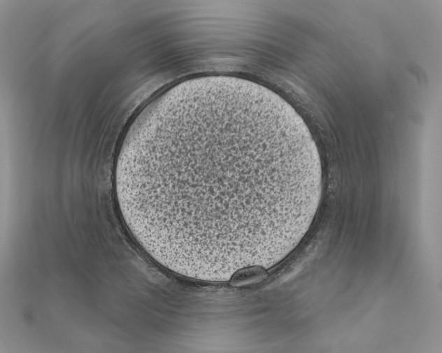 X0000111001081200907311026