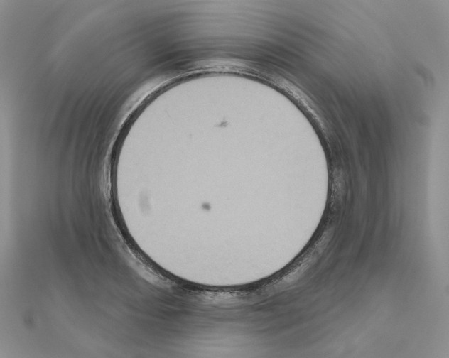 X0000111001082200907311026