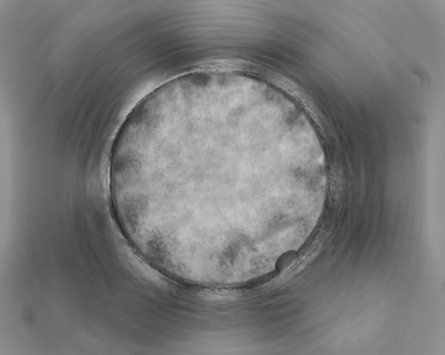 X0000111001083200907311026