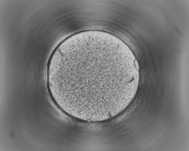 X0000111001084200907311026