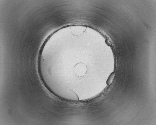 X0000111001085200907311026