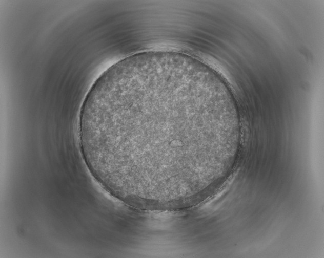 X0000111001087200907311026