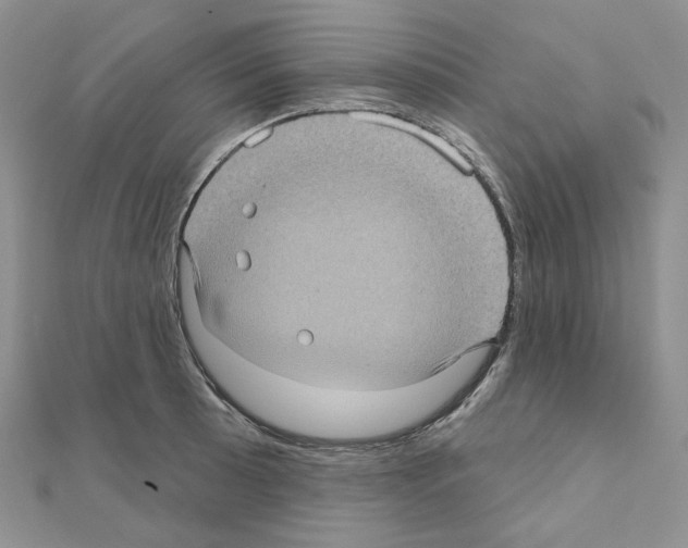 X0000111001089200907311026