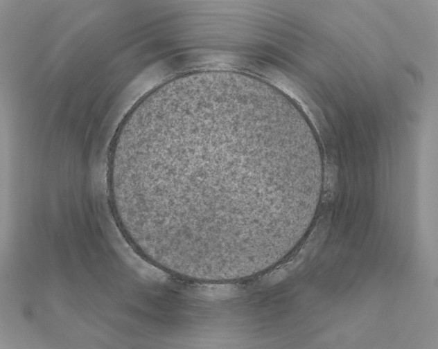 X0000111001090200907311026