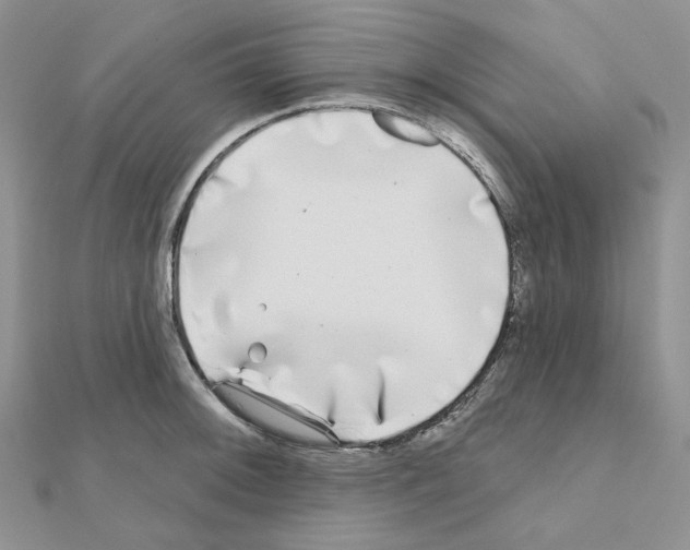 X0000111001092200907311026