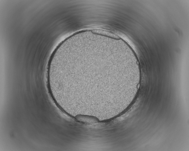 X0000111001093200907311026