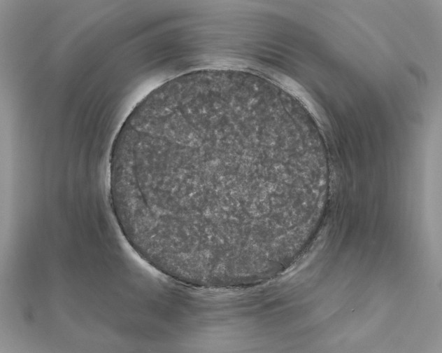 X0000111001095200907311026