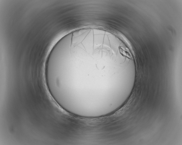 X0000111001096200907311026