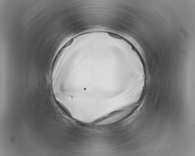 X0000111001097200907311026