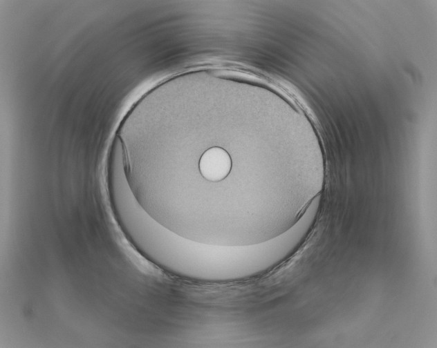 X0000111001098200907311026