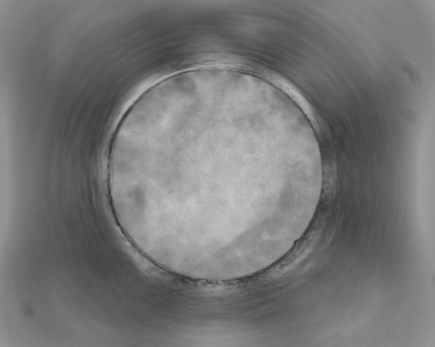 X0000111001099200907311026