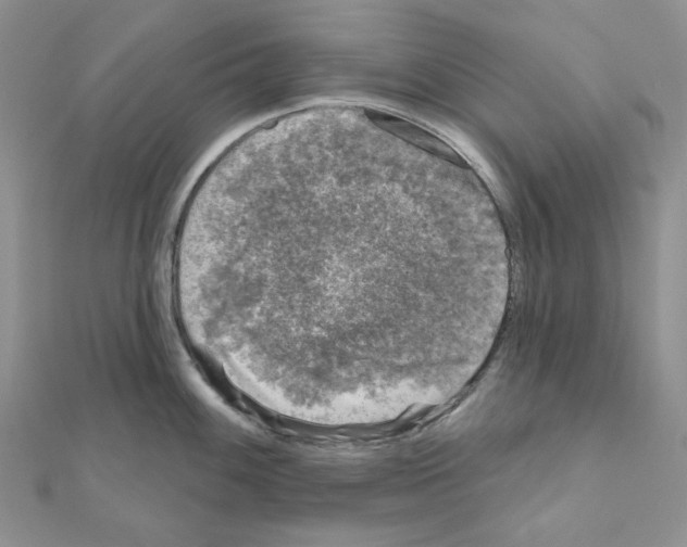 X0000111001100200907311026