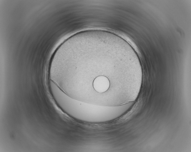 X0000111001101200907311026