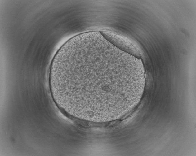 X0000111001102200907311026