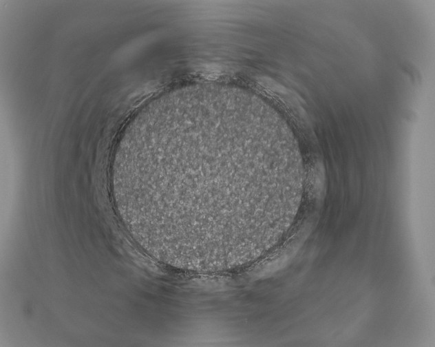 X0000111001105200907311025