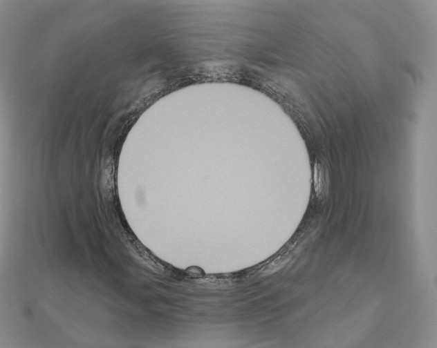 X0000111001107200907311025