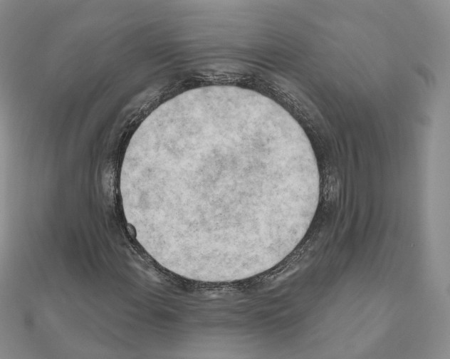 X0000111001108200907311025