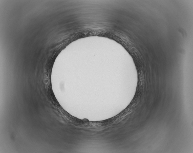 X0000111001109200907311025