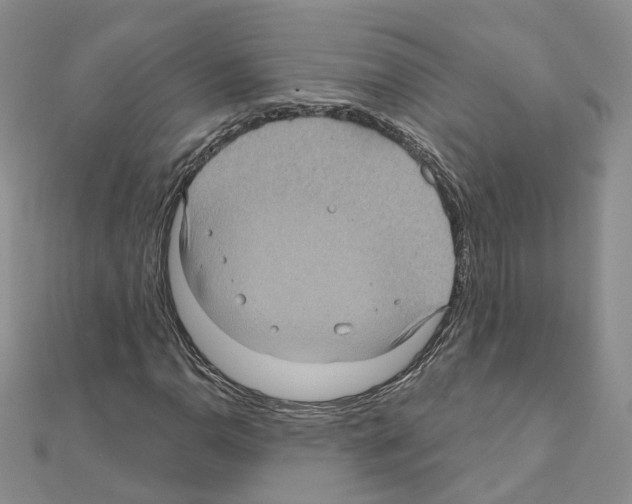 X0000111001110200907311025