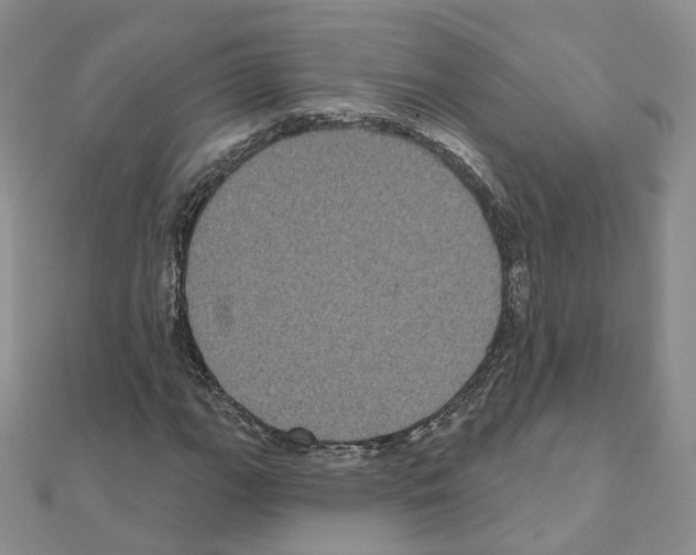 X0000111001111200907311025