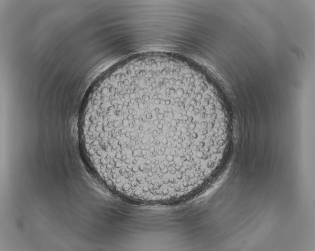 X0000111001113200907311025