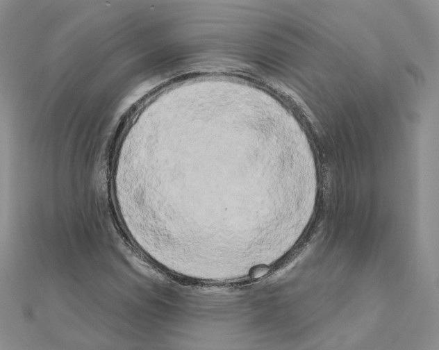 X0000111001114200907311025