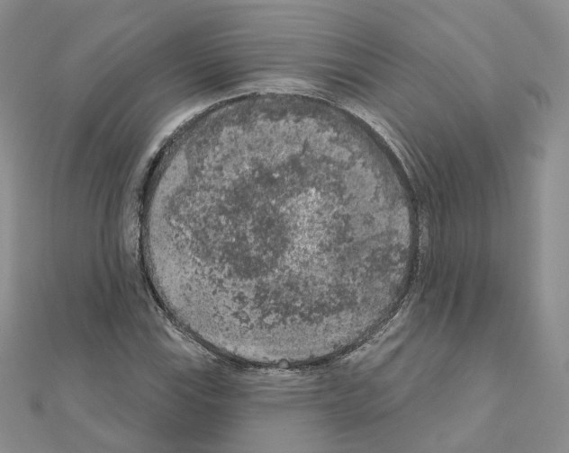 X0000111001115200907311025