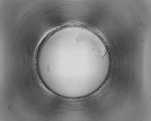 X0000111001116200907311025