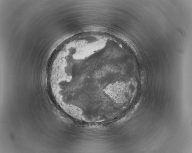 X0000111001117200907311025