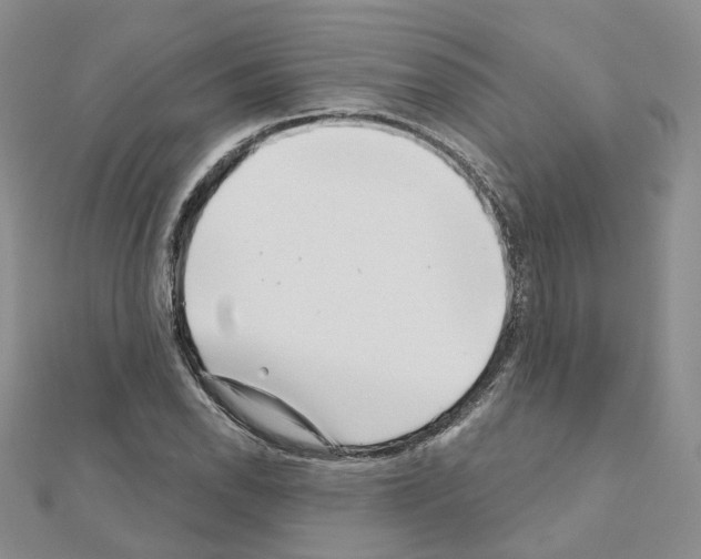 X0000111001118200907311025