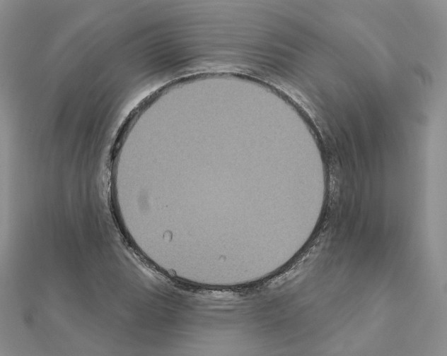 X0000111001119200907311025