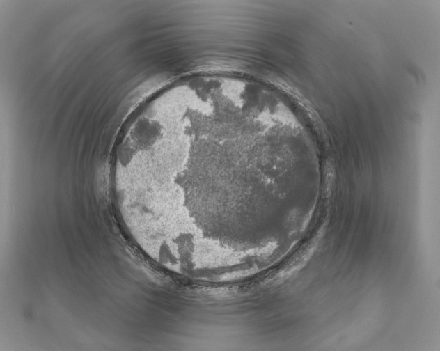 X0000111001121200907311025