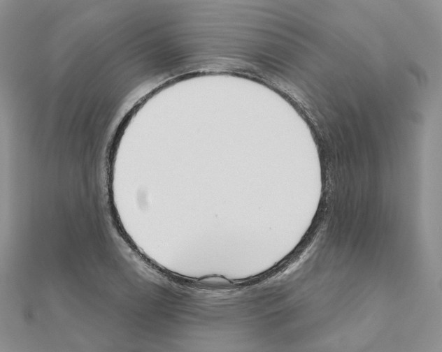 X0000111001122200907311025