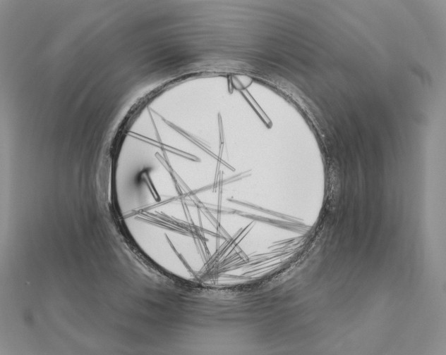 X0000111001123200907311025