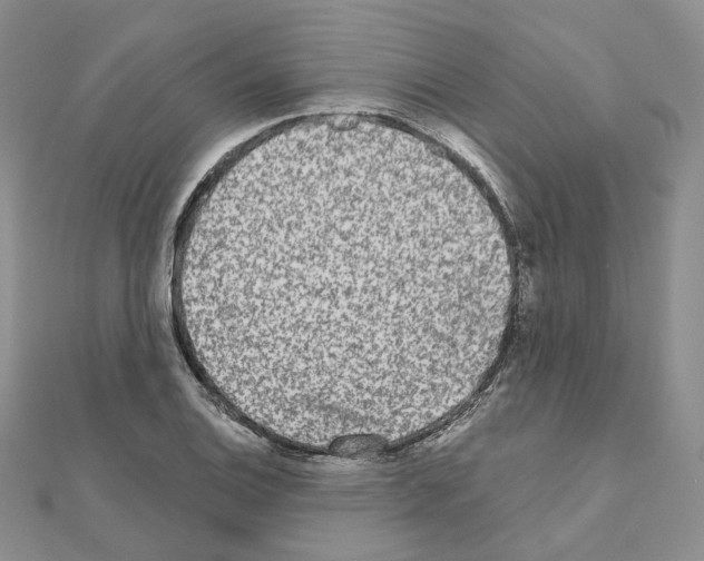 X0000111001124200907311025