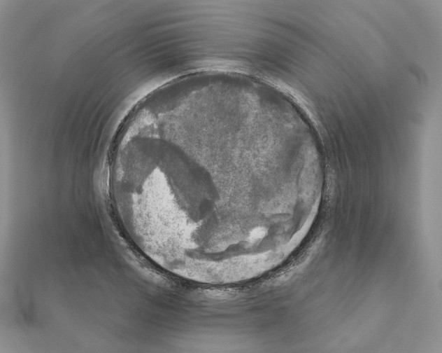 X0000111001125200907311025