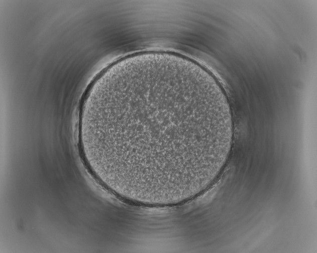 X0000111001126200907311025