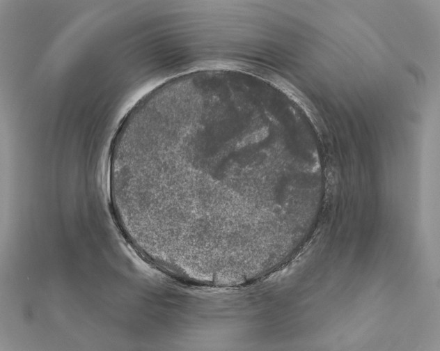 X0000111001127200907311025