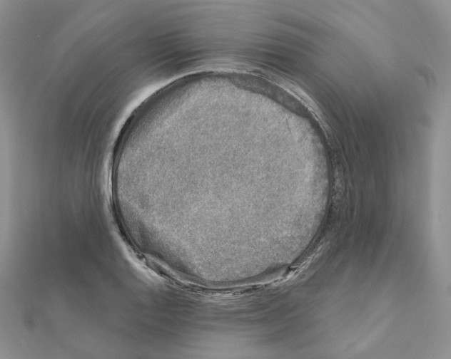 X0000111001128200907311025