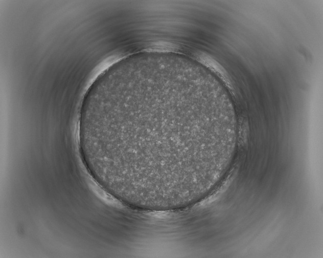 X0000111001130200907311025