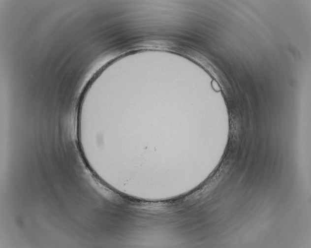 X0000111001131200907311025