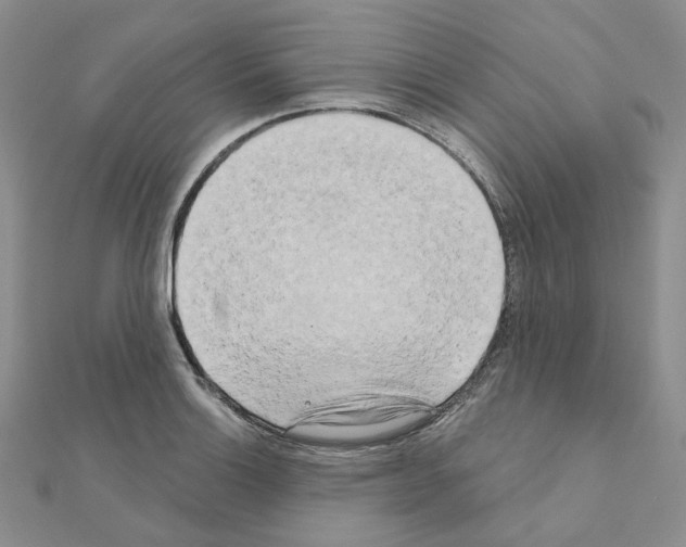 X0000111001132200907311025