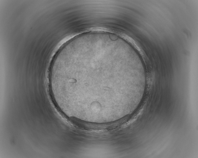 X0000111001133200907311025